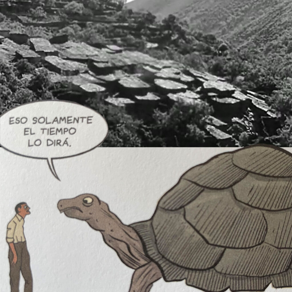 Bunuel sa rozprava s korytnackou